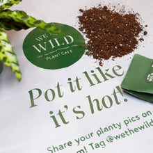 Load image into Gallery viewer, Mess Free Gardening Mat - Set of 2