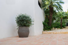 Load image into Gallery viewer, Harley S, Diorite Grey 14"