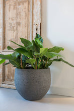 Load image into Gallery viewer, Mini Orb XL, Diorite Grey 14"