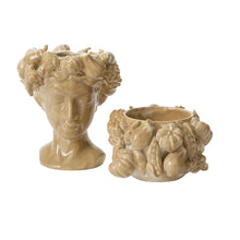 Load image into Gallery viewer, Lady Harvest Collection