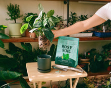 Load image into Gallery viewer, 8qt Organic potting soil mix, indoor, houseplant &amp; herbs
