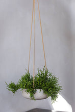 Load image into Gallery viewer, Eileen Hanging, Grey Washed
