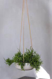 Eileen Hanging, Grey Washed