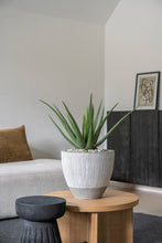 Load image into Gallery viewer, Jesslyn, White Stripe
