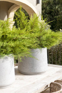 Patt, Grey Washed
