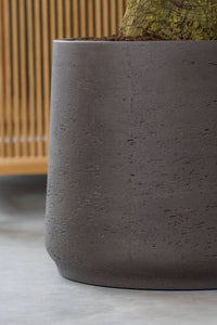 Patt, Black Washed