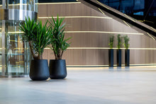 Load image into Gallery viewer, Pax Planter, Black
