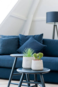 Patt, Grey Washed