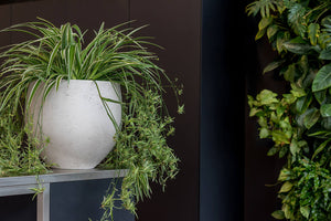 Mini Orb Pot, Grey Washed