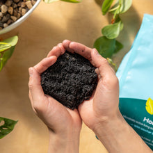 Load image into Gallery viewer, 4qt Organic potting soil mix, indoor, houseplant &amp; herbs
