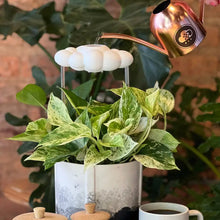 Load image into Gallery viewer, Original Dripping Rain Cloud
