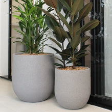 Load image into Gallery viewer, Rustic Cask Planter
