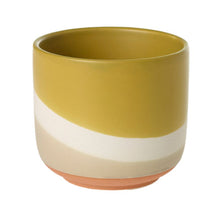 Load image into Gallery viewer, Colorway Pot 4"
