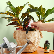 Load image into Gallery viewer, Moisture Meter
