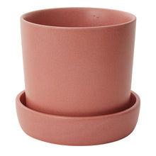 Load image into Gallery viewer, Watson Pot with Saucer
