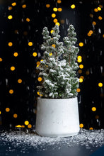 Load image into Gallery viewer, Patt, White Washed
