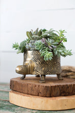 Load image into Gallery viewer, Tommie Turtle Pot
