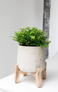 Patt Low Feet, Grey Washed