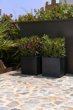 Load image into Gallery viewer, Block Planter, Black
