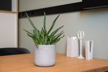 Load image into Gallery viewer, Charlie Planter, Grey Washed
