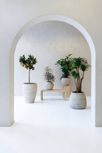 Artemis Planter, Chalk White