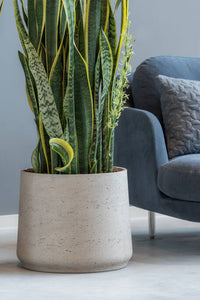 Patt, Grey Washed