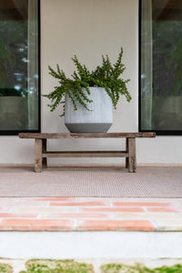 Harith S, White Stripe 13"
