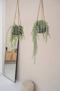 Patt Hanging, Black Washed