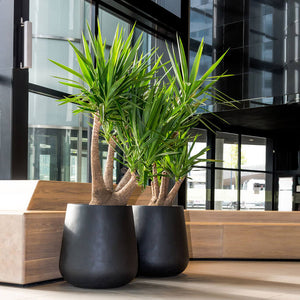 Pax Planter, Black