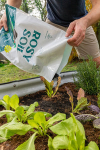 8qt Biochar Booster