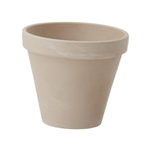 Load image into Gallery viewer, Apollo Collection
