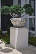 Load image into Gallery viewer, Ava Planter 13"
