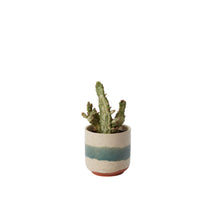Load image into Gallery viewer, Mateo Pot
