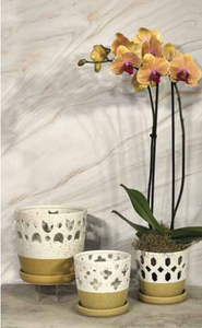 Arabesque Orchid Pot, White Sand 8"