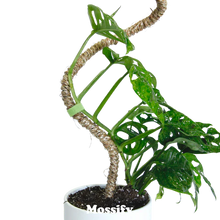 Load image into Gallery viewer, Bendable Coir Pole
