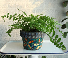 Load image into Gallery viewer, Austral Gem Fern 4"
