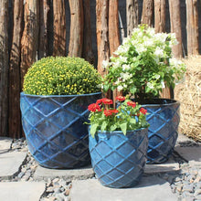Load image into Gallery viewer, Argylle Egg Planter
