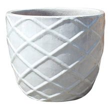 Load image into Gallery viewer, Argylle Egg Planter
