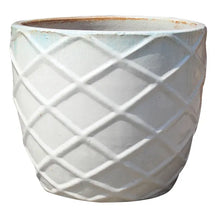 Load image into Gallery viewer, Argylle Egg Planter

