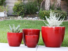 Load image into Gallery viewer, Coco Pots
