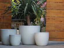 Load image into Gallery viewer, Coco Pots
