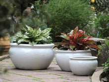Load image into Gallery viewer, Low Jar Planter
