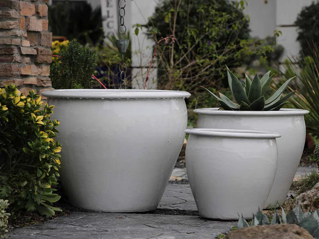 Fish Bowl Pots – Casaplanta Miami