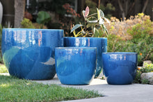 Load image into Gallery viewer, Egg Shell Pots
