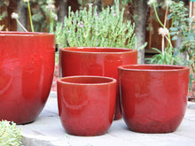 Load image into Gallery viewer, Egg Shell Pots
