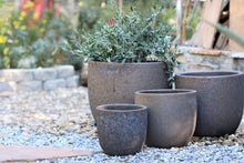 Load image into Gallery viewer, Egg Shell Pots

