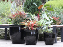 Load image into Gallery viewer, No Decor Planter
