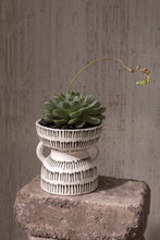 Load image into Gallery viewer, Amazon Pot 6"
