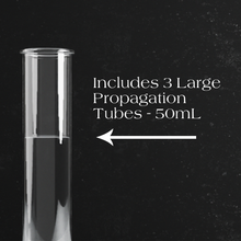 Load image into Gallery viewer, Dynamic Propagation Station
