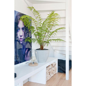Jesslyn Planter, Light Grey